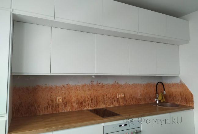Фартук для кухни фото: колосья пшеницы, заказ #ИНУТ-11704, Белая кухня. Изображение 111552