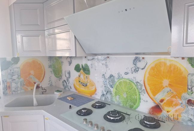 Фартук для кухни фото: кольца цитрусовых в кубиках льда, заказ #ИНУТ-17990, Белая кухня. Изображение 334482