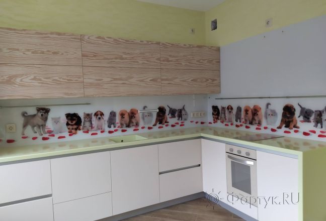 Фартук с фотопечатью фото: кошечки и собачки на белом фоне, заказ #ИНУТ-9781, Коричневая кухня.
