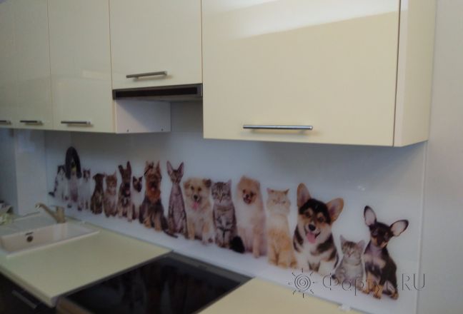 Фартук для кухни фото: кошки и собаки, заказ #ИНУТ-638, Белая кухня. Изображение 180916