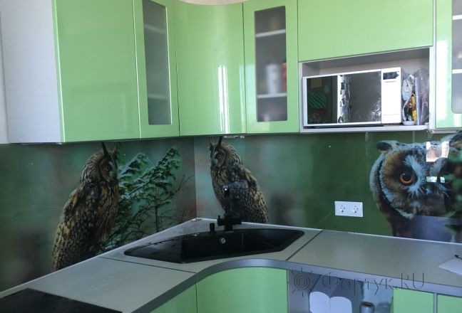 Скинали для кухни фото: красивые совы, заказ #КРУТ-612, Зеленая кухня. Изображение 85148