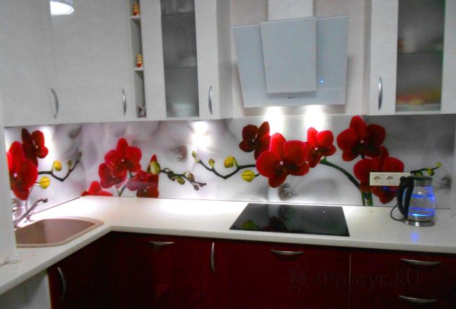 Скинали фото: красные орхидеи, заказ #РРУТ-1, Красная кухня. Изображение 186016
