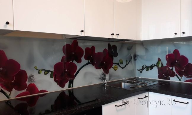 Фартук для кухни фото: красные орхидеи, заказ #ИНУТ-2443, Белая кухня.