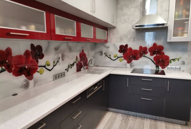 Стеновая панель фото: красные орхидеи, заказ #ИНУТ-14611, Серая кухня. Изображение 186016