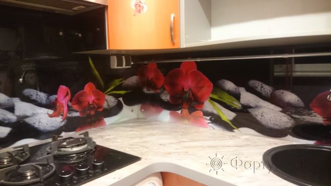 Фартук стекло фото: красные орхидеи на камнях, заказ #УТ-1471, Оранжевая кухня.