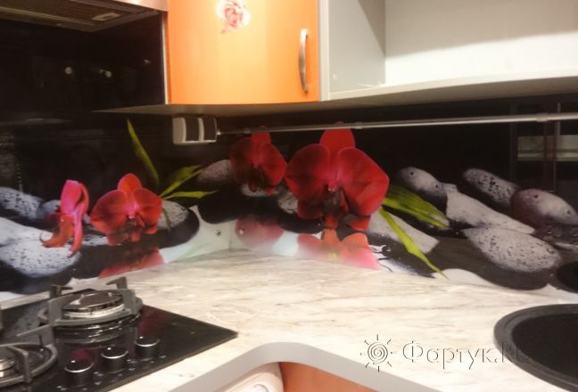 Фартук стекло фото: красные орхидеи на камнях, заказ #УТ-1471, Оранжевая кухня. Изображение 186408