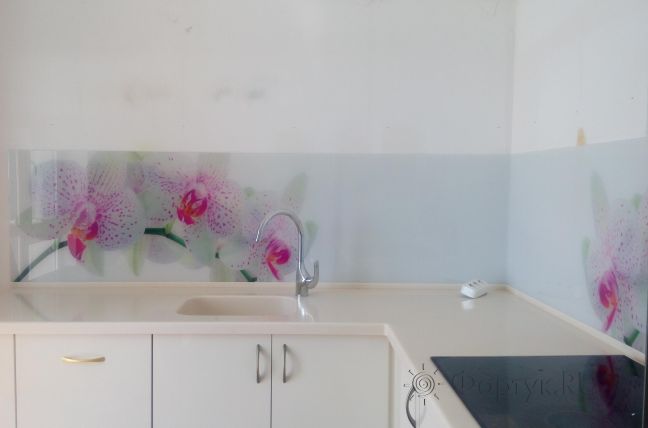Фартук для кухни фото: крупная орхидея, заказ #ИНУТ-1363, Белая кухня.