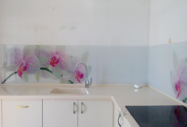 Фартук для кухни фото: крупная орхидея, заказ #ИНУТ-1363, Белая кухня. Изображение 184114