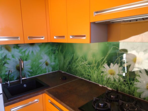 Фартук стекло фото: крупные белые ромашки в траве, заказ #ИНУТ-286, Оранжевая кухня.