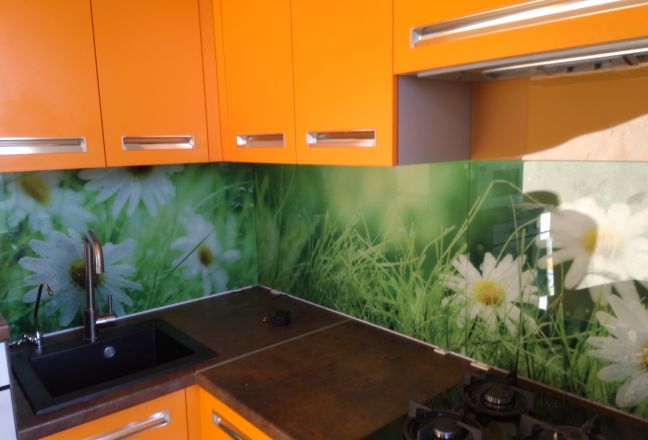 Фартук стекло фото: крупные белые ромашки в траве, заказ #ИНУТ-286, Оранжевая кухня. Изображение 131522