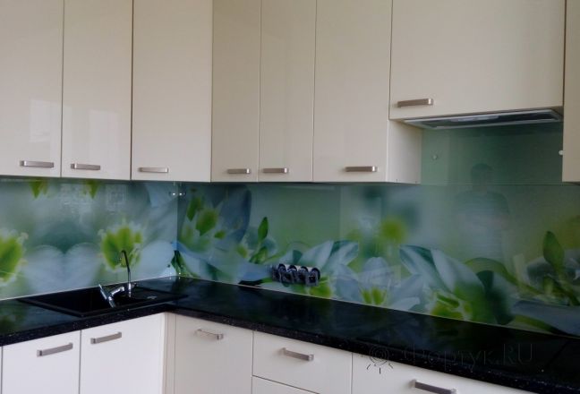 Фартук для кухни фото: крупные орхидеи, заказ #УТ-973, Белая кухня. Изображение 111360