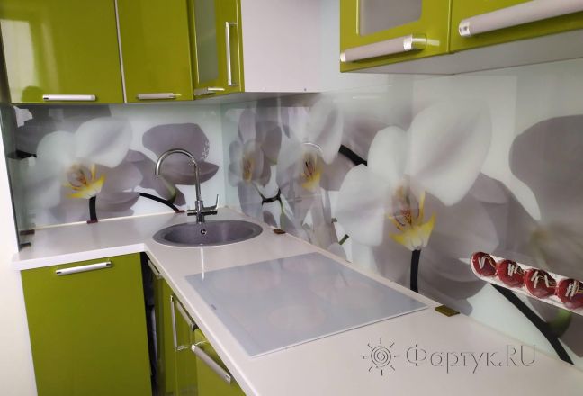 Скинали для кухни фото: крупные орхидеи, заказ #ИНУТ-5582, Зеленая кухня. Изображение 80516
