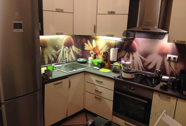 Фартук для кухни фото: крупные ромашки в лучиках света., заказ #SN-292, Белая кухня. Изображение 112588