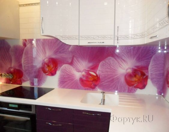 Фартук фото: крупные цветы орхидеи., заказ #S-1121, Фиолетовая кухня.