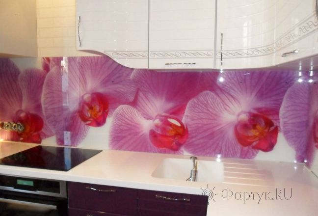 Фартук фото: крупные цветы орхидеи., заказ #S-1121, Фиолетовая кухня. Изображение 112870