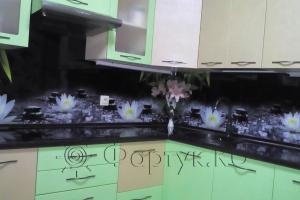 Скинали для кухни фото: кувшинки, заказ #РРУТ-7, Зеленая кухня.