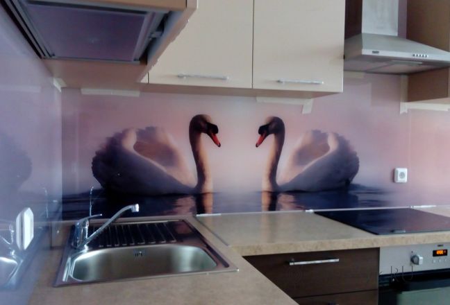 Фартук с фотопечатью фото: лебеди, заказ #УТ-763, Коричневая кухня. Изображение 85170