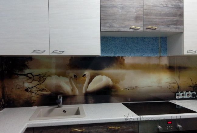 Фартук для кухни фото: лебеди, заказ #УТ-2219, Белая кухня. Изображение 87424