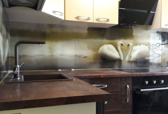 Фартук с фотопечатью фото: лебеди, заказ #ИНУТ-1483, Коричневая кухня. Изображение 87424