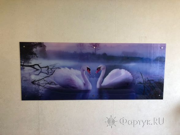 Фартук для кухни фото: лебеди, заказ #ИНУТ-1370, Белая кухня.