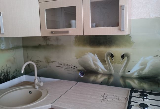 Фартук с фотопечатью фото: лебеди на озере, заказ #КРУТ-020, Коричневая кухня. Изображение 186686