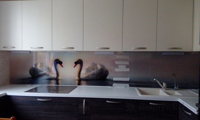 Фартук с фотопечатью фото: лебеди в пруду, заказ #ИНУТ-129, Коричневая кухня.