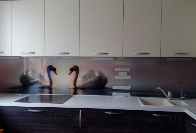 Фартук с фотопечатью фото: лебеди в пруду, заказ #ИНУТ-129, Коричневая кухня. Изображение 85170