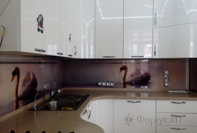 Фартук для кухни фото: лебеди в пруду, заказ #ИНУТ-412, Белая кухня. Изображение 85170