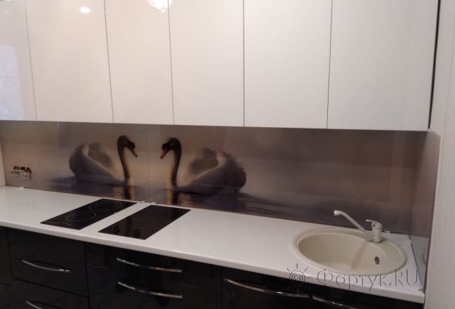 Скинали фото: лебеди в пруду, заказ #ИНУТ-800, Черная кухня. Изображение 85170
