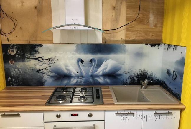 Фартук для кухни фото: лебеди в пруду, заказ #КРУТ-1887, Белая кухня. Изображение 186686