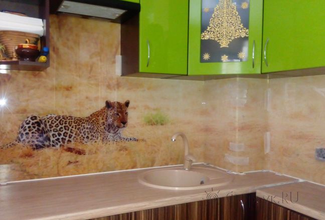 Скинали для кухни фото: леопард в саванне, заказ #ИНУТ-761, Зеленая кухня. Изображение 85278