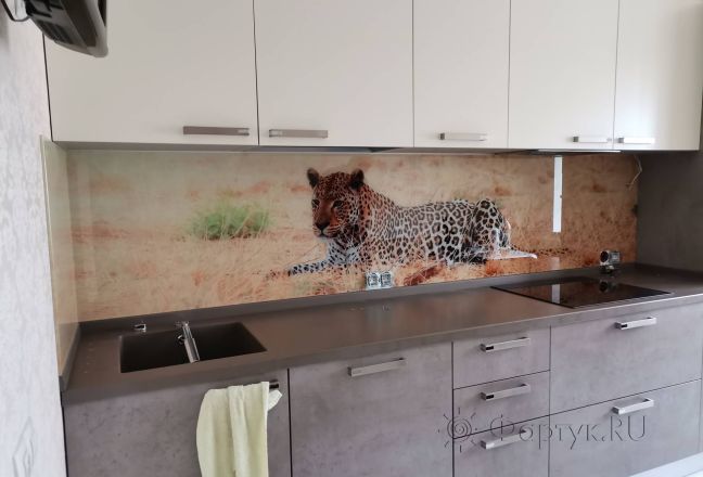 Стеновая панель фото: леопард в саванне, заказ #ИНУТ-9411, Серая кухня. Изображение 85278