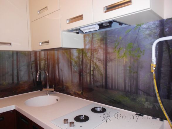 Фартук для кухни фото: лес, заказ #УТ-1730, Белая кухня.