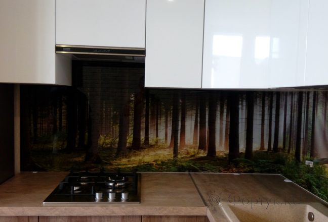Фартук для кухни фото: лес, заказ #ГМУТ-388, Белая кухня. Изображение 111604