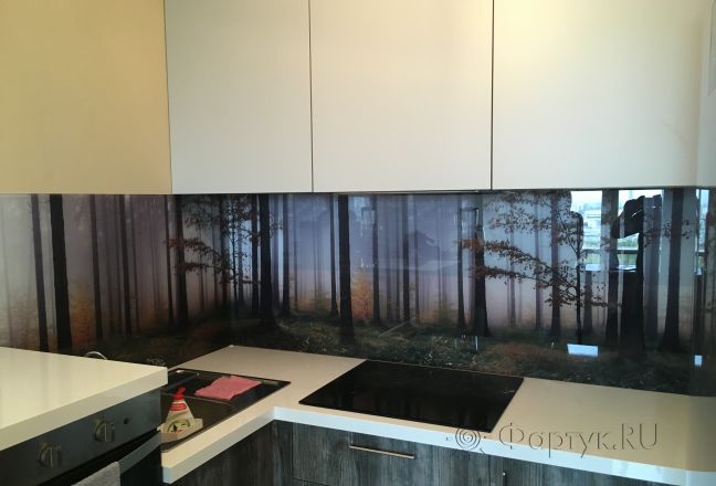 Стеновая панель фото: лес, заказ #КРУТ-239, Серая кухня. Изображение 82054