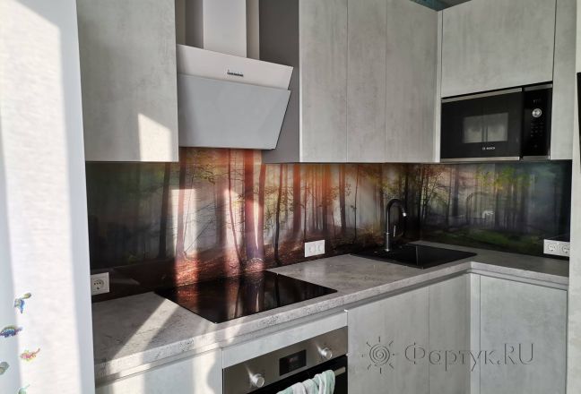 Стеновая панель фото: лес на рассвете, заказ #ИНУТ-13957, Серая кухня. Изображение 81970