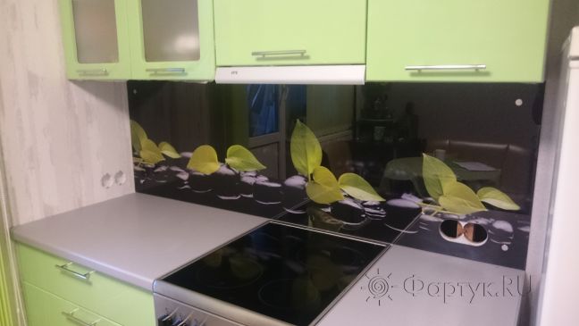 Скинали для кухни фото: листья на черных камнях, заказ #УТ-2224, Зеленая кухня.