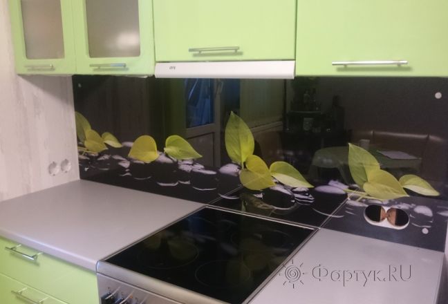 Скинали для кухни фото: листья на черных камнях, заказ #УТ-2224, Зеленая кухня. Изображение 81510