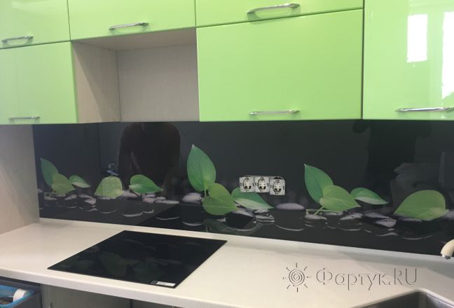 Скинали для кухни фото: листья на черных камнях с отражением, заказ #КРУТ-491, Зеленая кухня. Изображение 200760