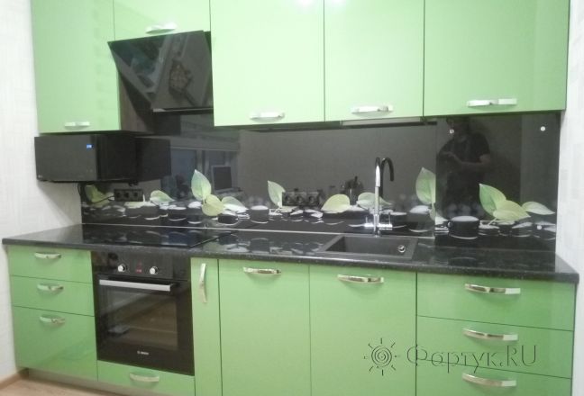 Скинали для кухни фото: листья на камнях, заказ #КРУТ-679, Зеленая кухня. Изображение 200760
