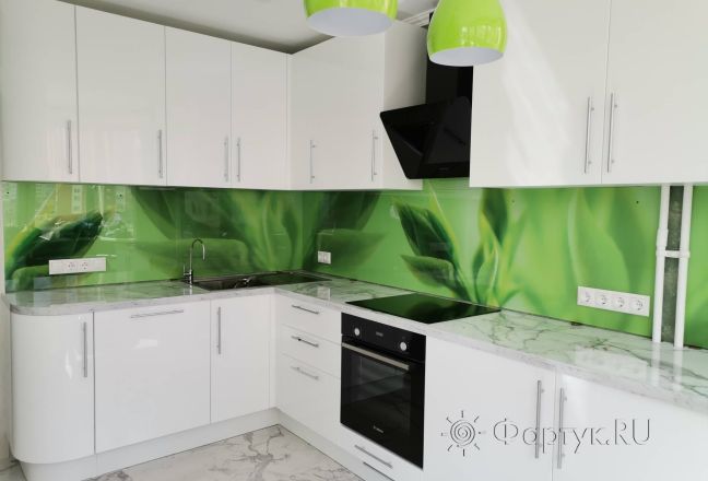 Фартук для кухни фото: листья зеленого чая, заказ #ИНУТ-12403, Белая кухня.