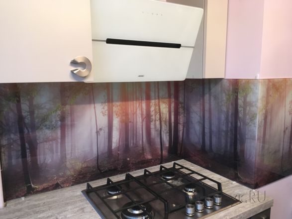 Стеновая панель фото: лучи солнца в лесу, заказ #КРУТ-274, Серая кухня.