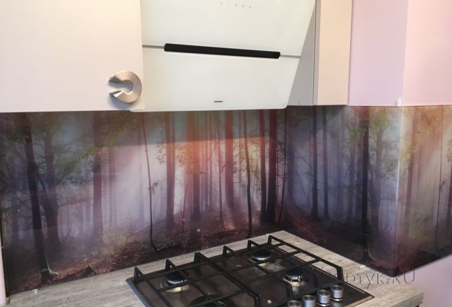 Стеновая панель фото: лучи солнца в лесу, заказ #КРУТ-274, Серая кухня. Изображение 197728
