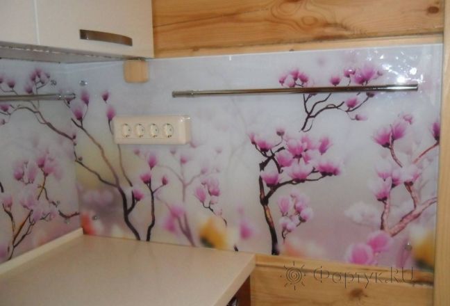 Фартук с фотопечатью фото: магнолия  в цвету., заказ #УТ-071, Коричневая кухня. Изображение 112686