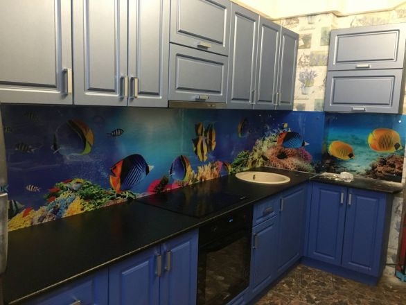 Стеклянная фото панель: морское дно с рыбками, заказ #КРУТ-2512, Синяя кухня.