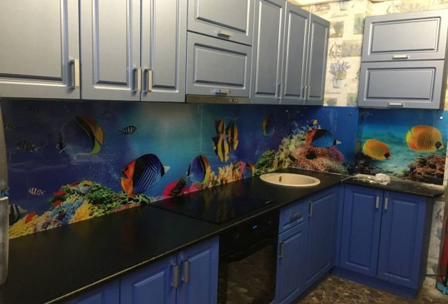 Стеклянная фото панель: морское дно с рыбками, заказ #КРУТ-2512, Синяя кухня. Изображение 247596