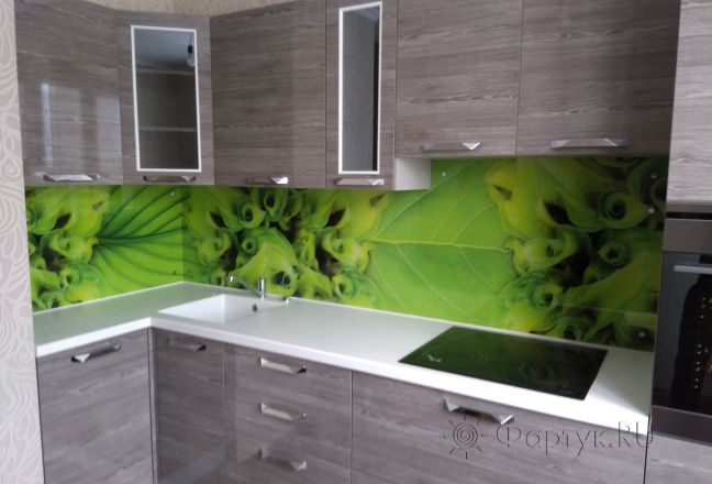 Стеновая панель фото: насыщенный глубоко-зеленый цвет листьев, заказ #ИНУТ-1066, Серая кухня. Изображение 206040