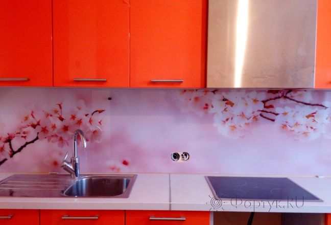 Фартук стекло фото: нежные ветки сакуры, заказ #УТ-1513, Оранжевая кухня. Изображение 182110