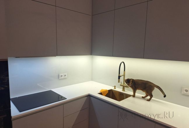 Фартук для кухни фото: однотонный цвет, заказ #ГОУТ-372, Белая кухня.