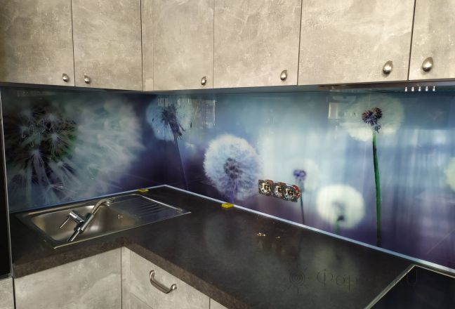 Стеновая панель фото: одуванчики в голубых оттенках, заказ #ИНУТ-8377, Серая кухня. Изображение 87804